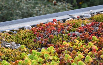 the cost of Burnstone green roof installation