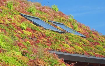 Burnstone living roof systems